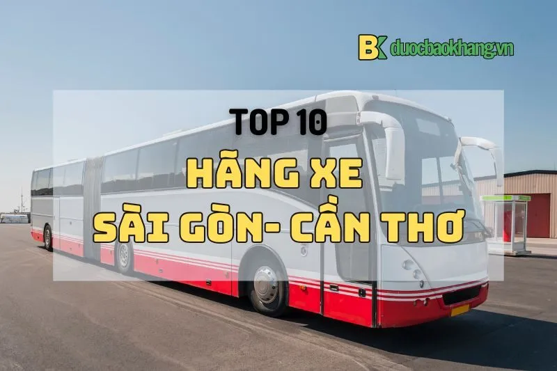 Top 10 xe đi Cần Thơ xịn sò: Limousine, giường nằm từ Sài Gòn 2025
