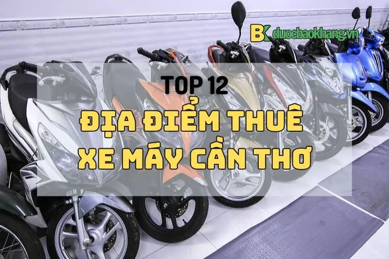 Top 12 Địa Điểm Thuê Xe Máy Cần Thơ Chất Lừ 2025