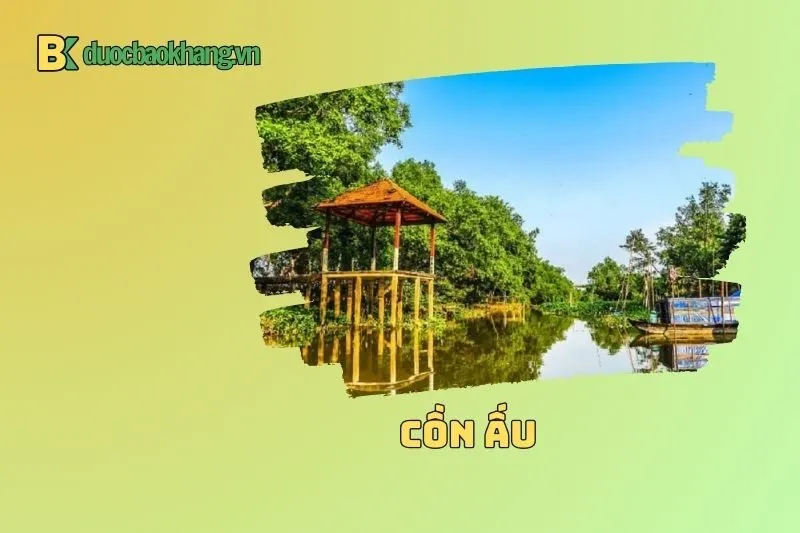 Cồn Ấu Cần Thơ có gì hấp dẫn? Những trải nghiệm không thể bỏ lỡ