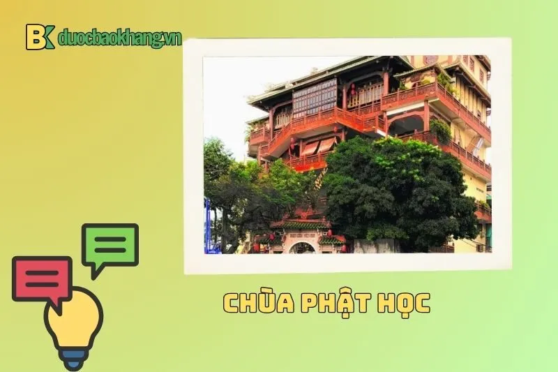 Chùa Phật Học Cần Thơ ở đâu? Hướng dẫn đường đi chi tiết