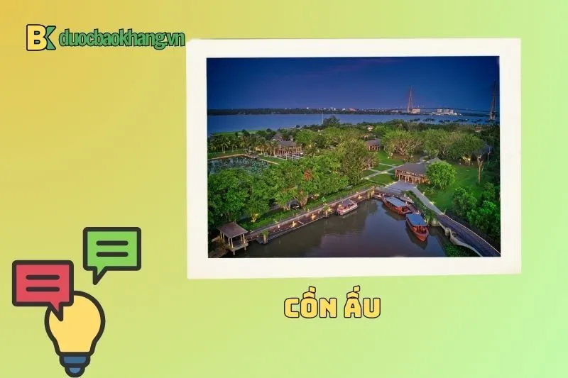 Cồn Ấu Cần Thơ ở đâu? Cách di chuyển đến Cồn Ấu dễ dàng nhất