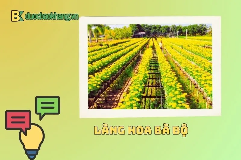 Làng hoa Bà Bộ Cần Thơ ở đâu? Cách di chuyển như thế nào?
