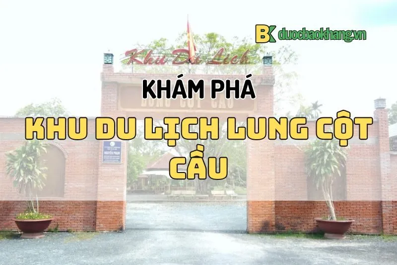 Khu du lịch Lung Cột Cầu Cần Thơ 2025 – Điểm đến không thể bỏ lỡ