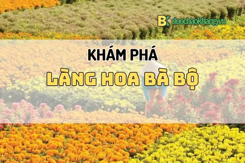 Làng hoa Bà Bộ Cần Thơ 2025 – Điểm đến rực rỡ sắc hoa mùa Tết