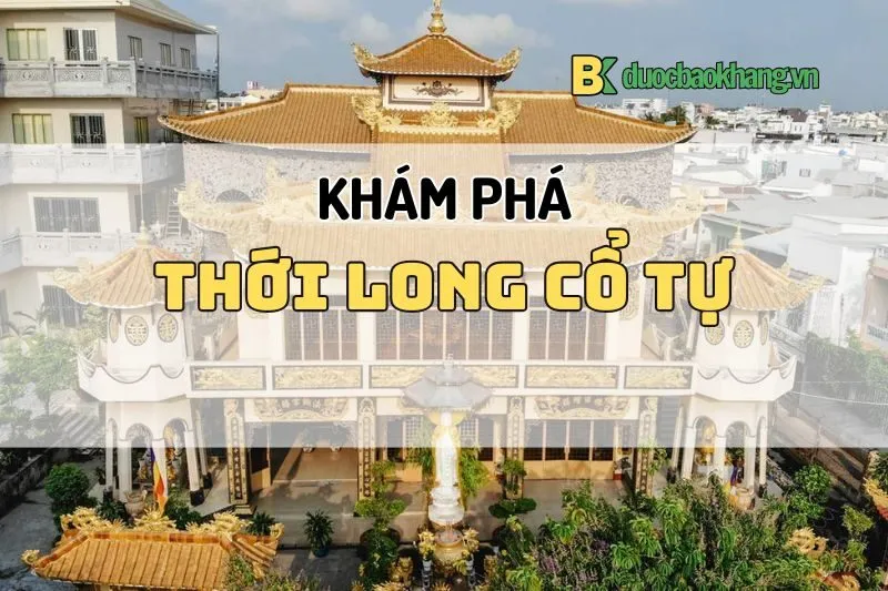 Thới Long Cổ Tự Cần Thơ – Hành trình khám phá tâm linh 2025