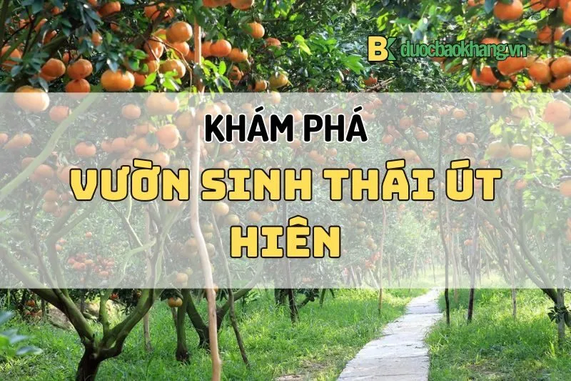 Vườn sinh thái Út Hiên Cần Thơ 2025 - Khám phá thiên nhiên và đặc sản