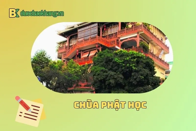 Kinh nghiệm tham quan Chùa Phật Học Cần Thơ