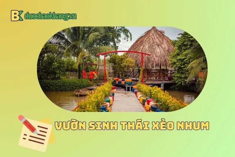 Một số lưu ý quan trọng khi du lịch Xẻo Nhum