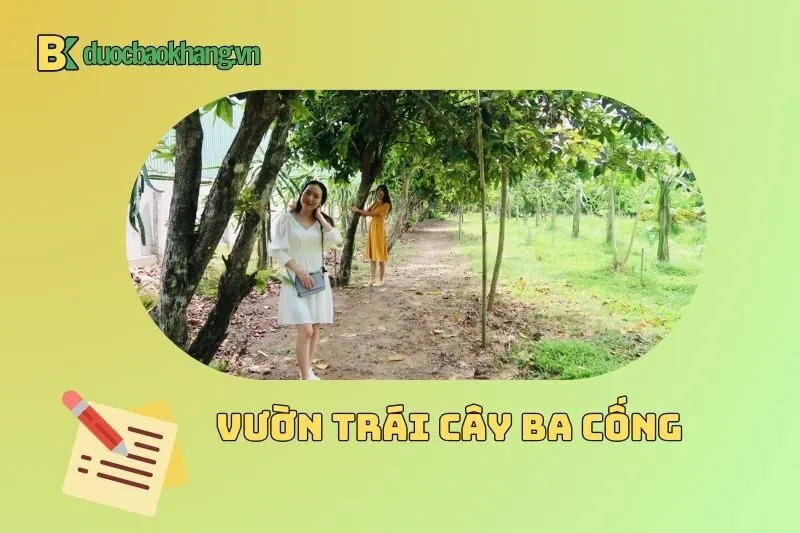 Kinh nghiệm tham quan vườn trái cây Ba Cống Cần Thơ