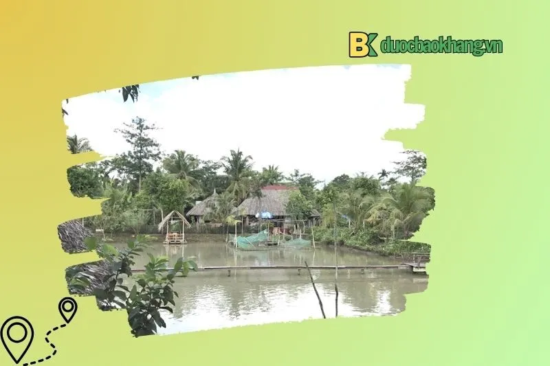 Trải nghiệm không thể bỏ lỡ tại Vườn sinh thái Xẻo Nhum