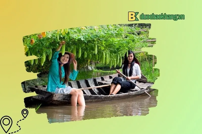 Trải nghiệm thú vị tại vườn trái cây Ba Cống
